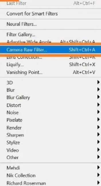 camera RAW filter